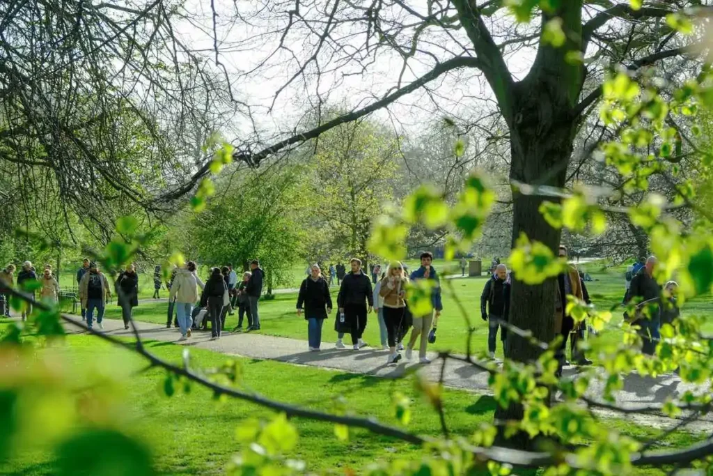 A image of park with lots of tree. Without litter how clean the environment looks!