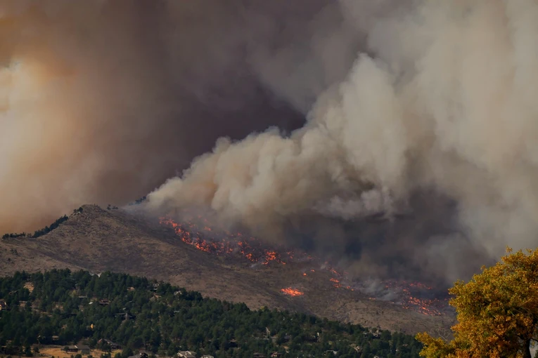 A image of forest burning in fire. Reminding us to take action to protect forest.